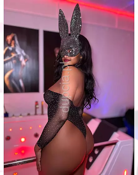 Amara latino
