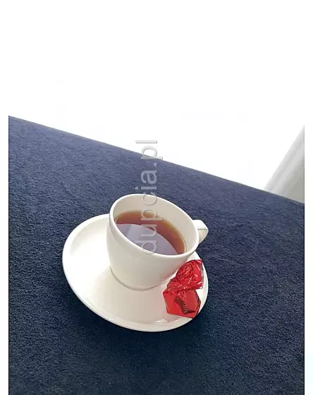 NOIR STUDIO Katowice profesjonalny masaz relaksacyjny i terapia napiec ciala